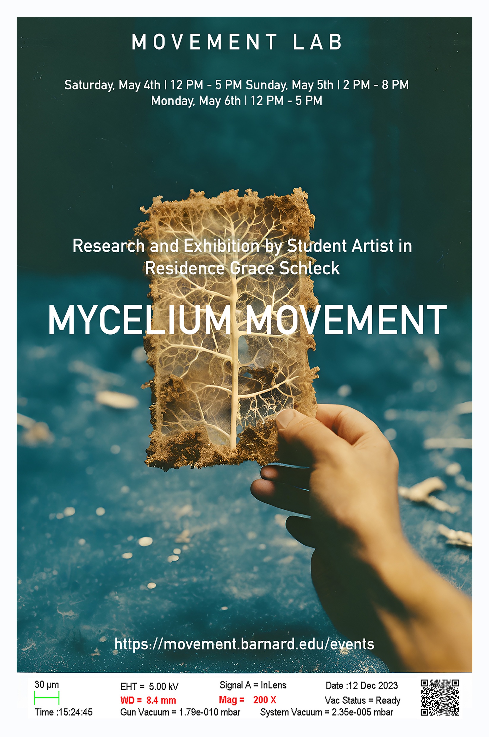 Mycelium Movement
