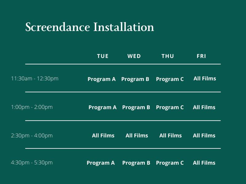 A schedule for the Screendance Installation