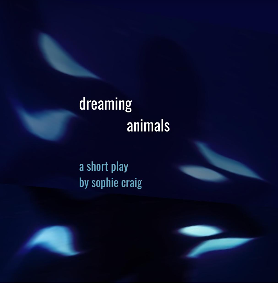 dreaming animals poster