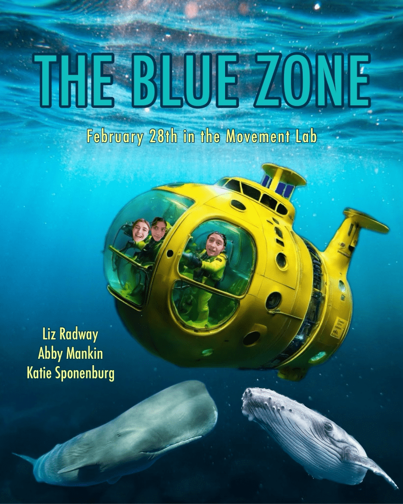 The Blue Zone poster