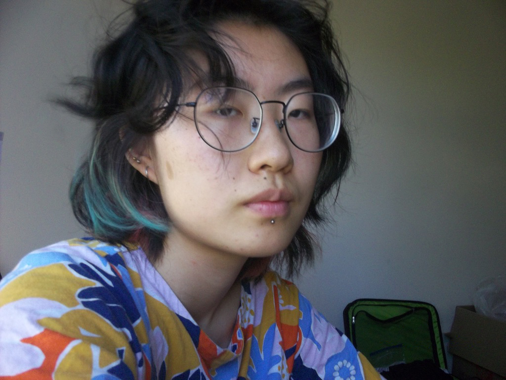 Student with medium length hair and a colorful colored shirt 